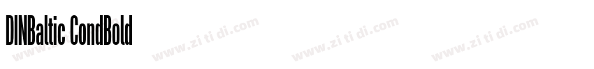 DINBaltic CondBold字体转换
